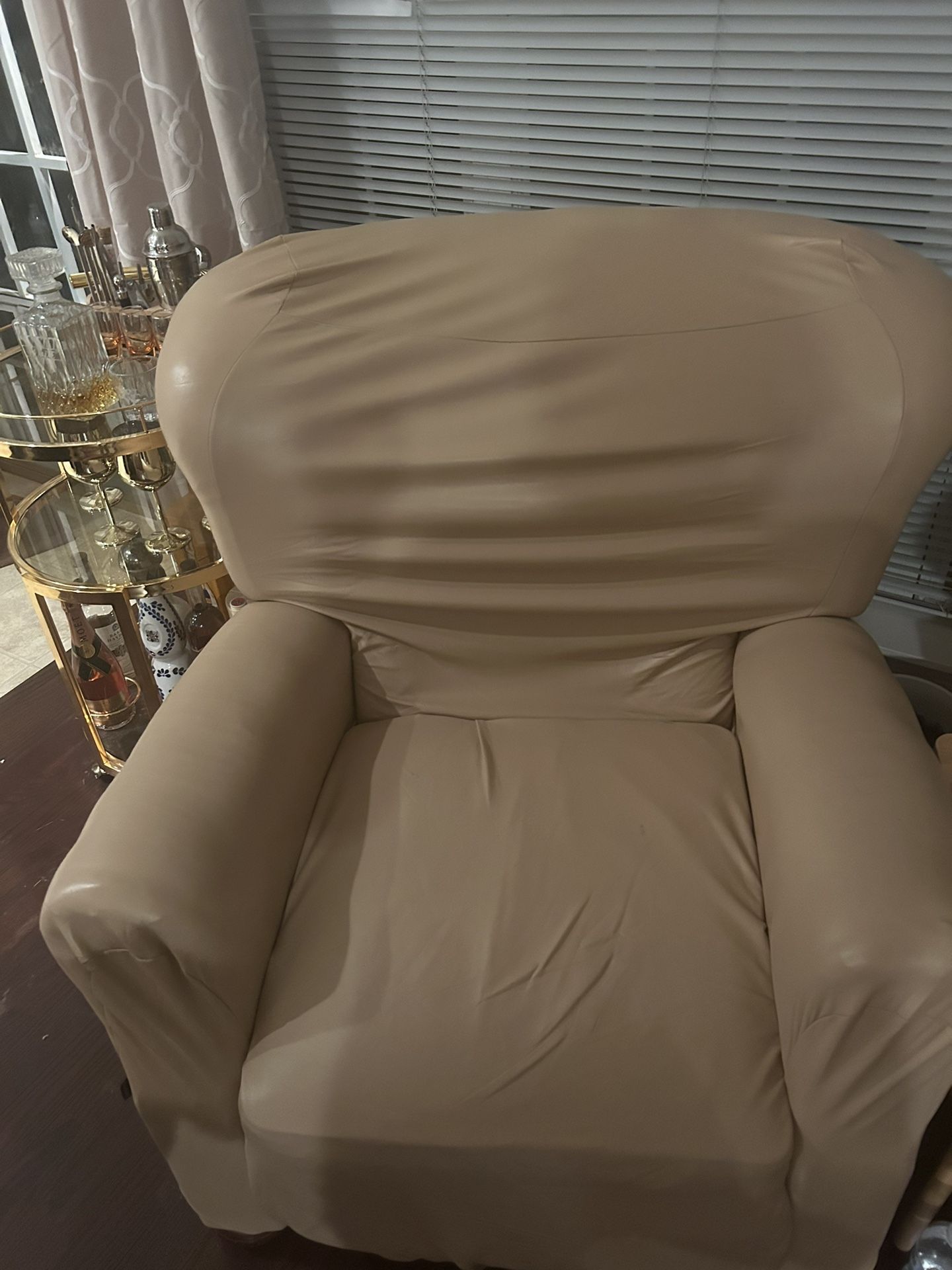 Leather Recliner