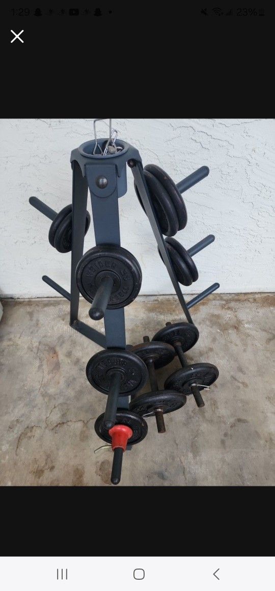 Weider Weights Adjustable Dumbbells