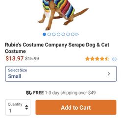 Dog Or Cat Costume Mexican Serape 