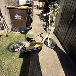 Razor Ecosmart 