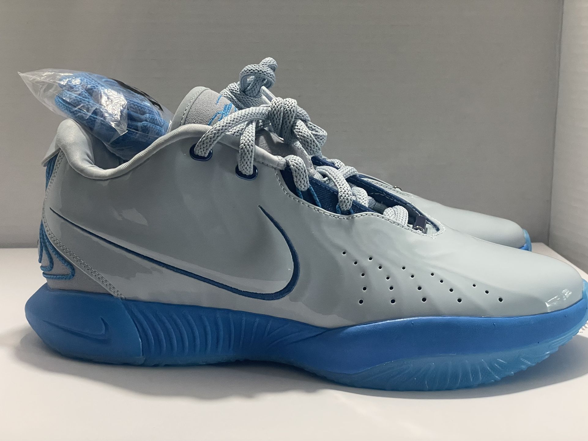 Brand New LeBrons Size 9