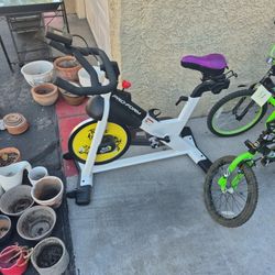 Proform Tour De France Bike