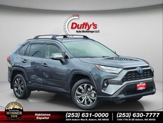 2024 Toyota Rav4 Hybrid