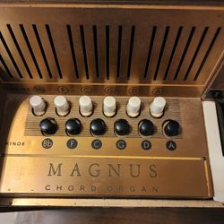 MAGNUS CHORD ORGAN