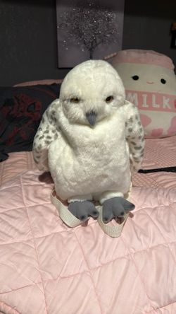 Hedwig From Harry Potter