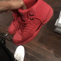 Jordan 12s Sz 13