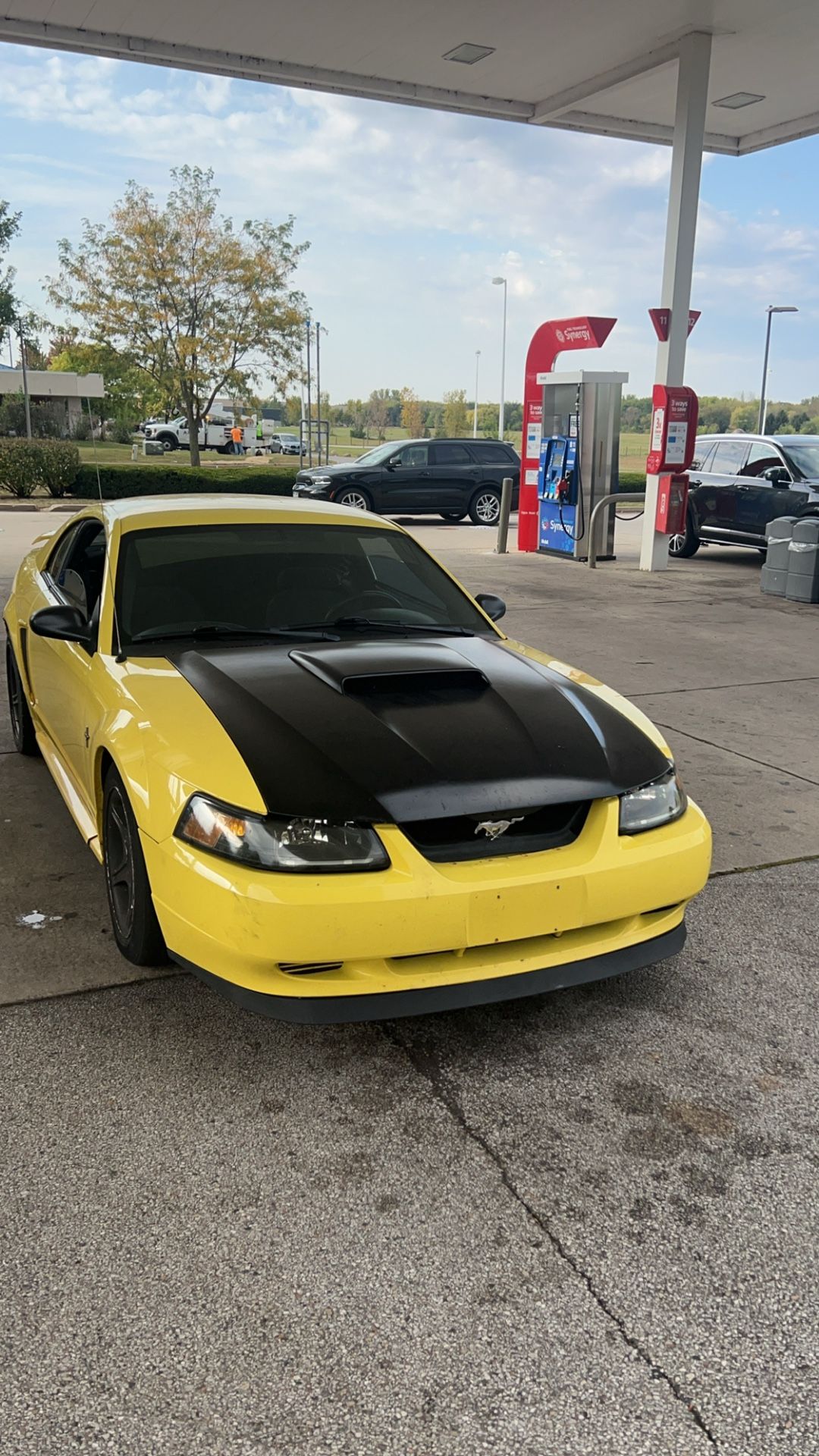 2003 Ford Mustang