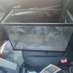 10 Gallon Frame Tank