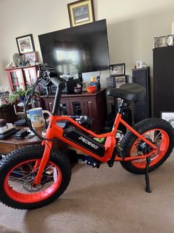 Pedego Electric Bike