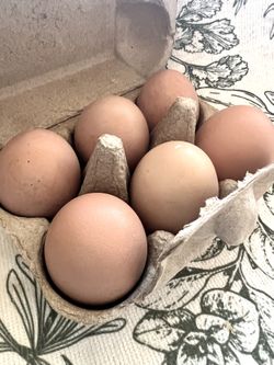 Free Range Chicken Eggs
