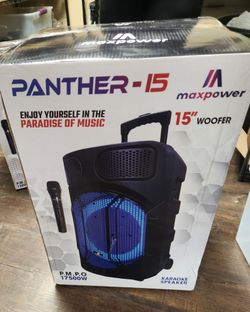 15 inch speaker