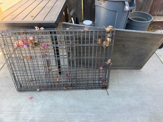 Dog Kennel