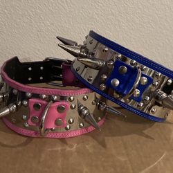 Collar Para Perros / Dog Collars