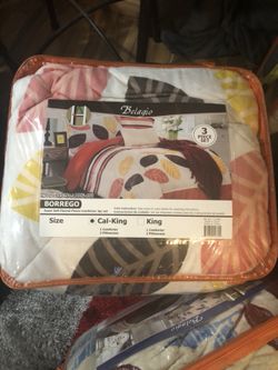 De Borrego bien clalientitas