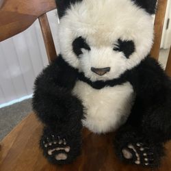 The Curious Panda Bear Plush