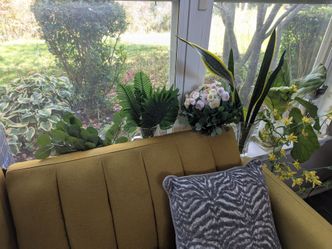 Real plants