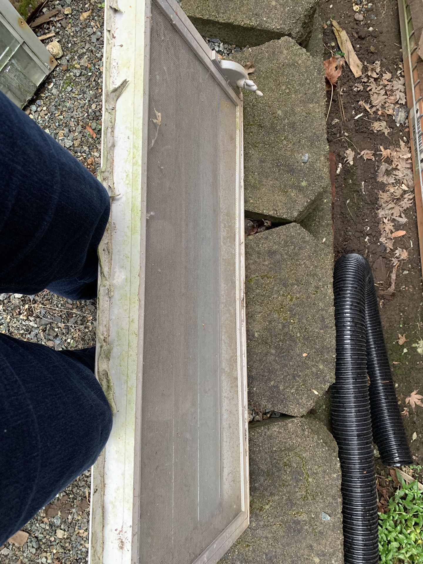 Vintage Trailer Windows for Sale in Renton, WA OfferUp