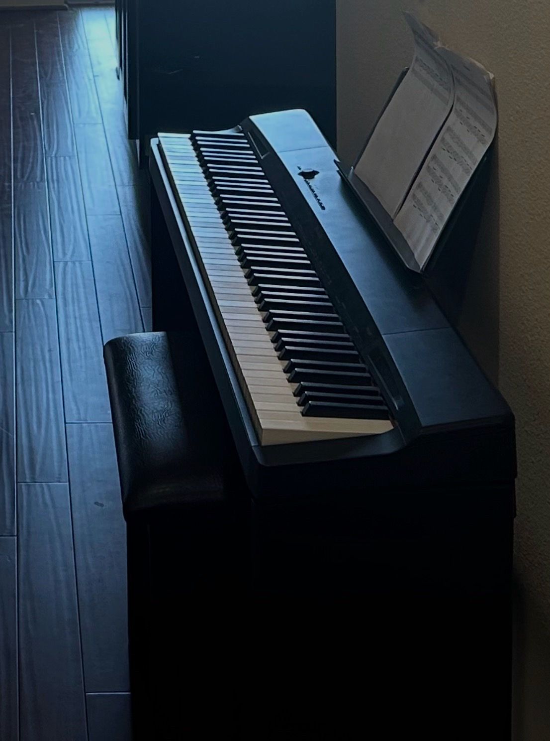 Piano keyboard - Casio
