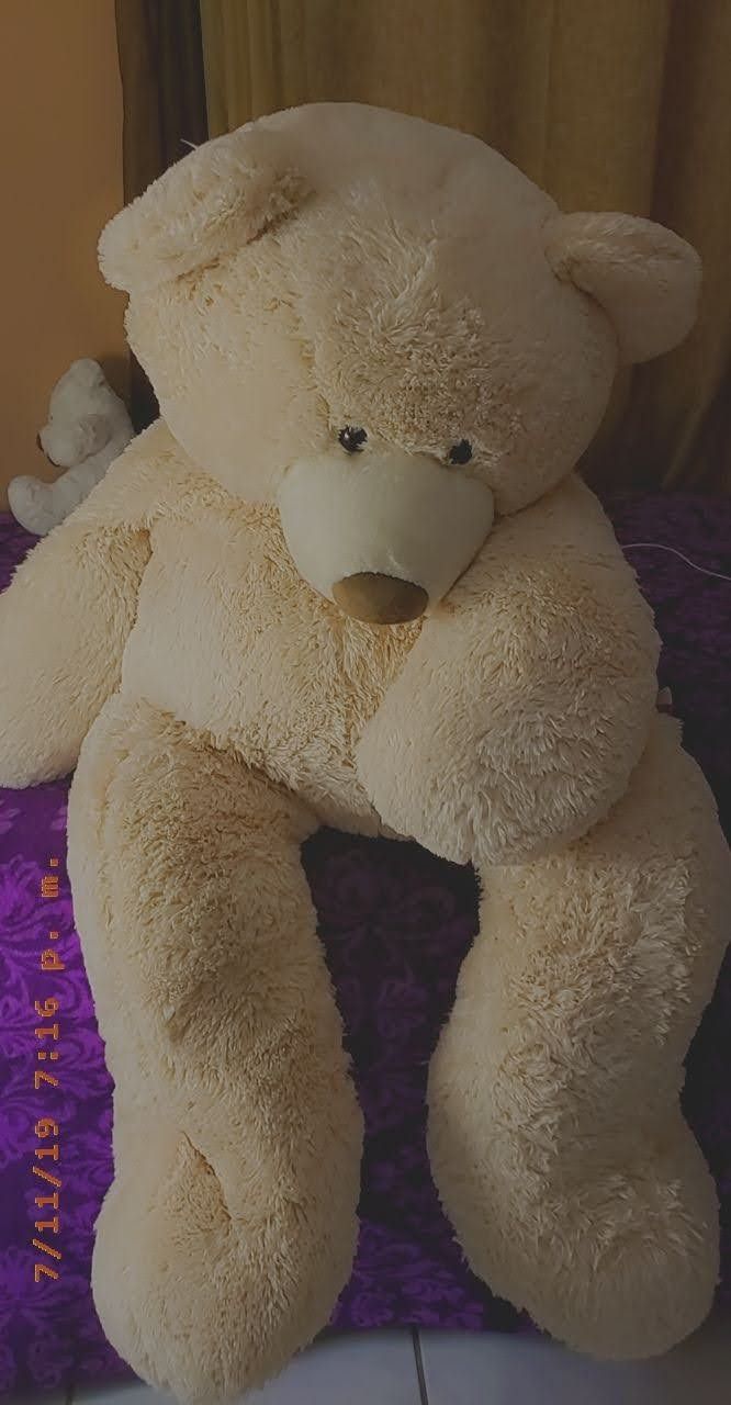 Big teddy bear for february 14