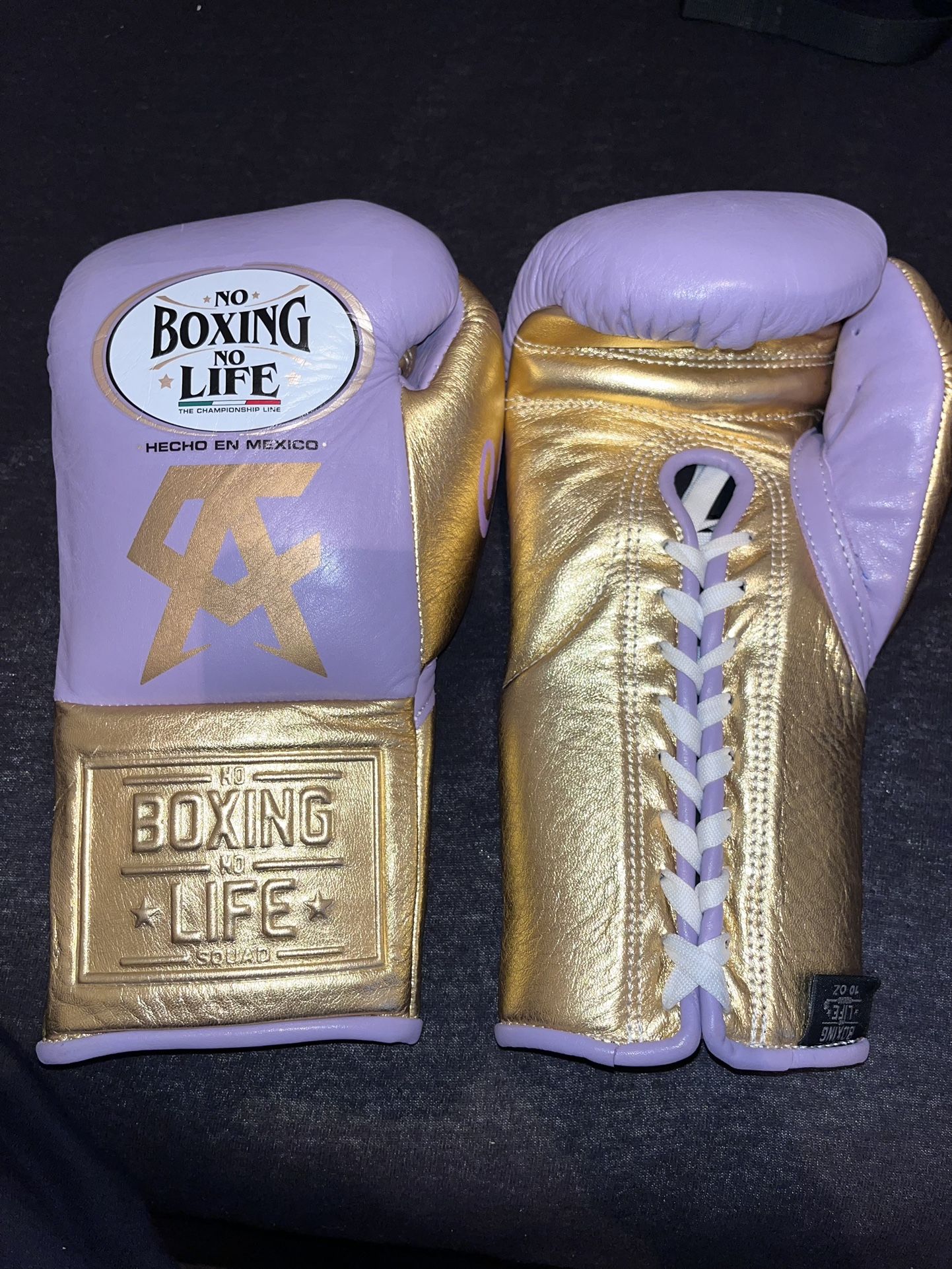 10oz No Boxing No Life gloves