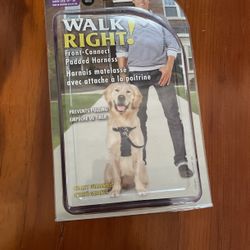 Brand New Large Breed Fog Leash