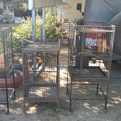 Bird Cages 