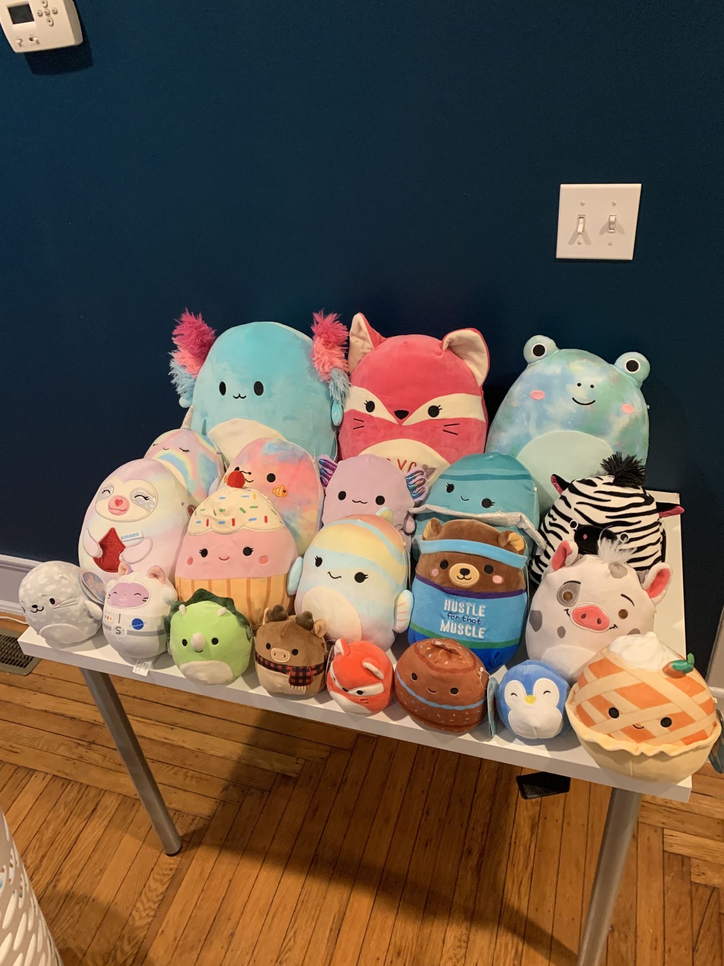 Squishmallow lot