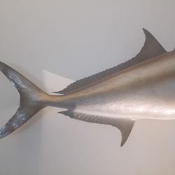 Large 47" Amberjack With Engraved Plate Caught Out Of Fort Lauderdale