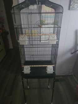 Bird cage