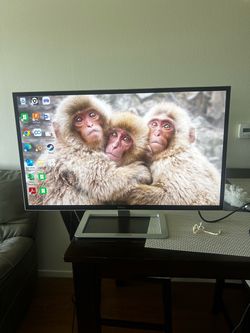 Computer monitor