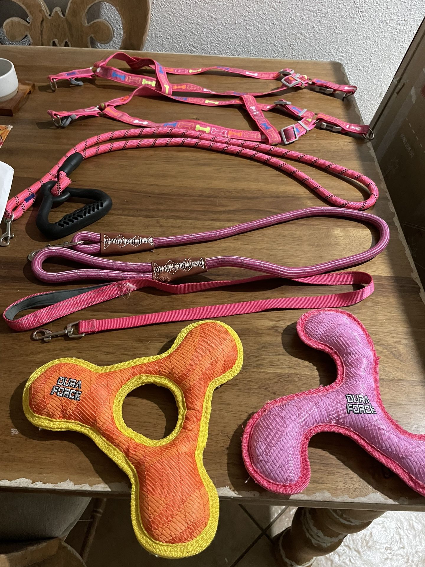 Dog Harnesses, Leashes, Toys $5 For All