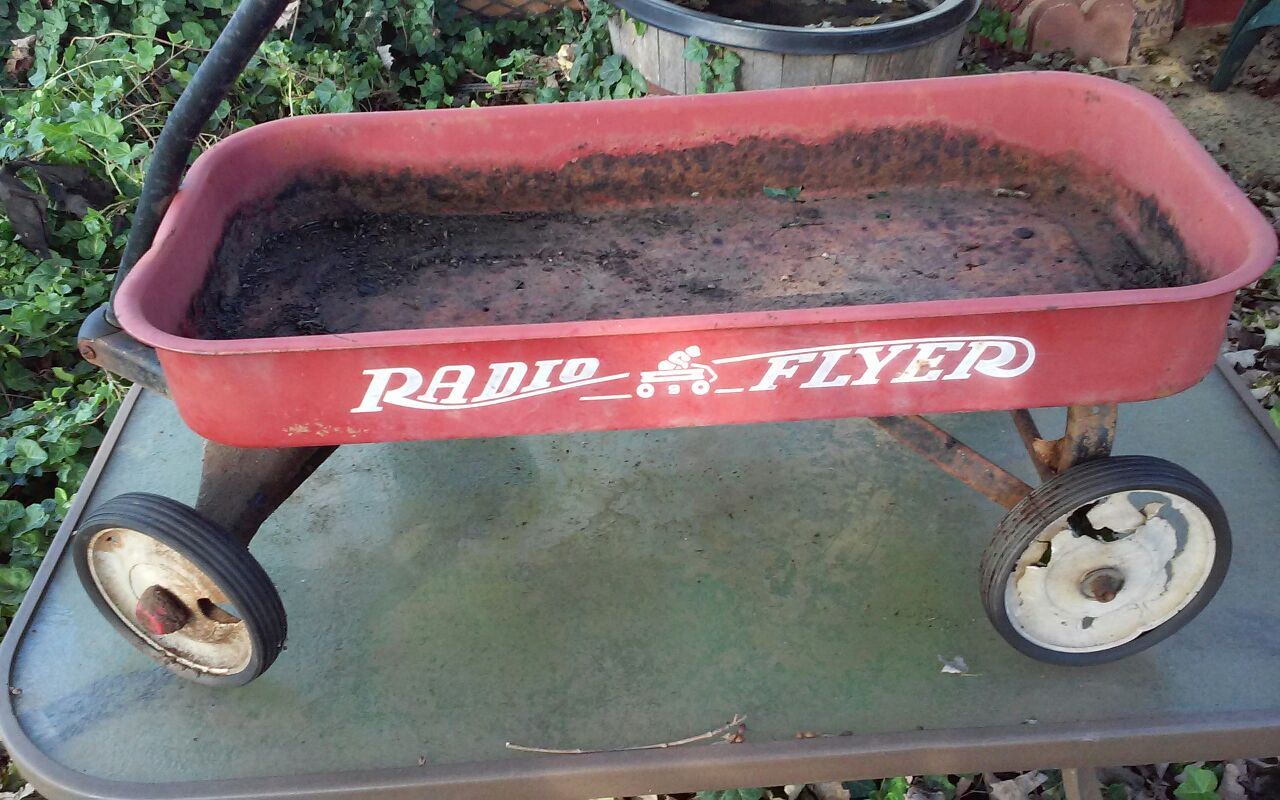 Classic Radio Flyer #9 Red Metal Wagon w/OshKosh JcPenney