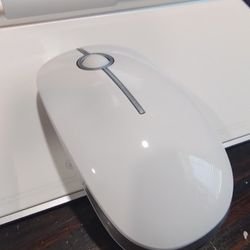 Apple mouse (2) And apple keyboard