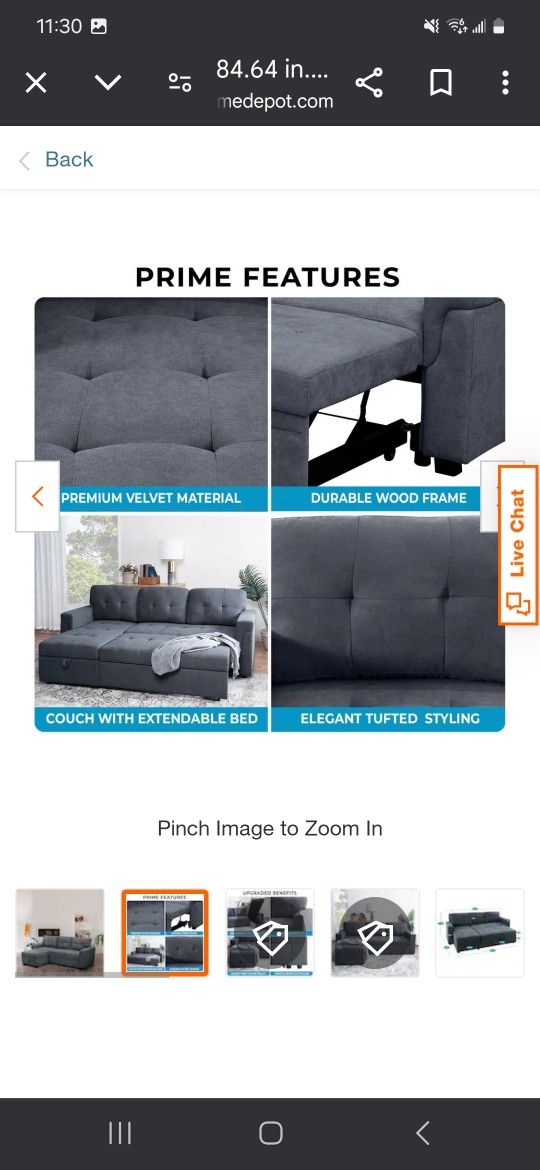 Couch With Pullout Bed.