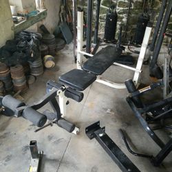 Weight Bench 