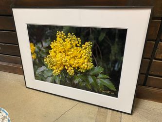 “Golden” Photo Print by Phyllis McDaniel