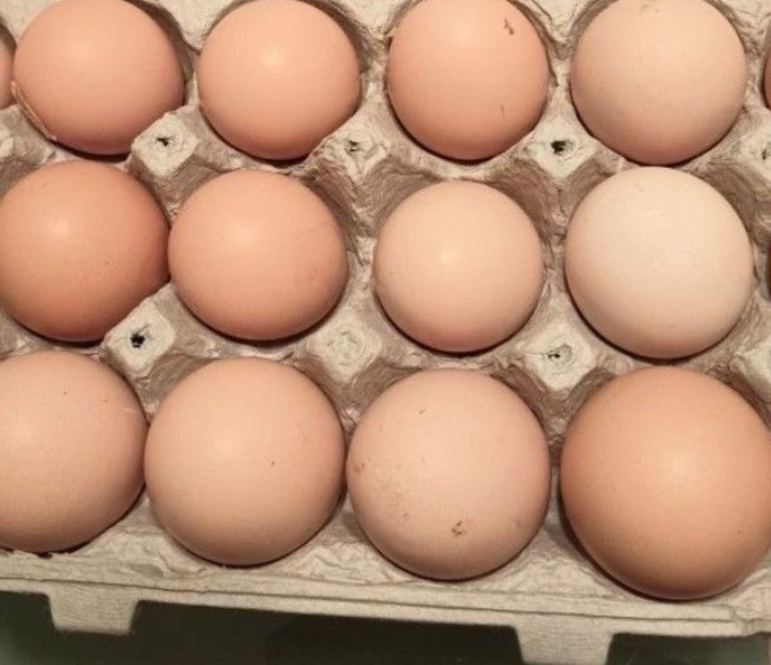 Fresh Cage-free Eggs