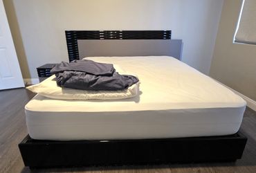 Modern Light-up Bedframe (Cal King / King) Like-new!