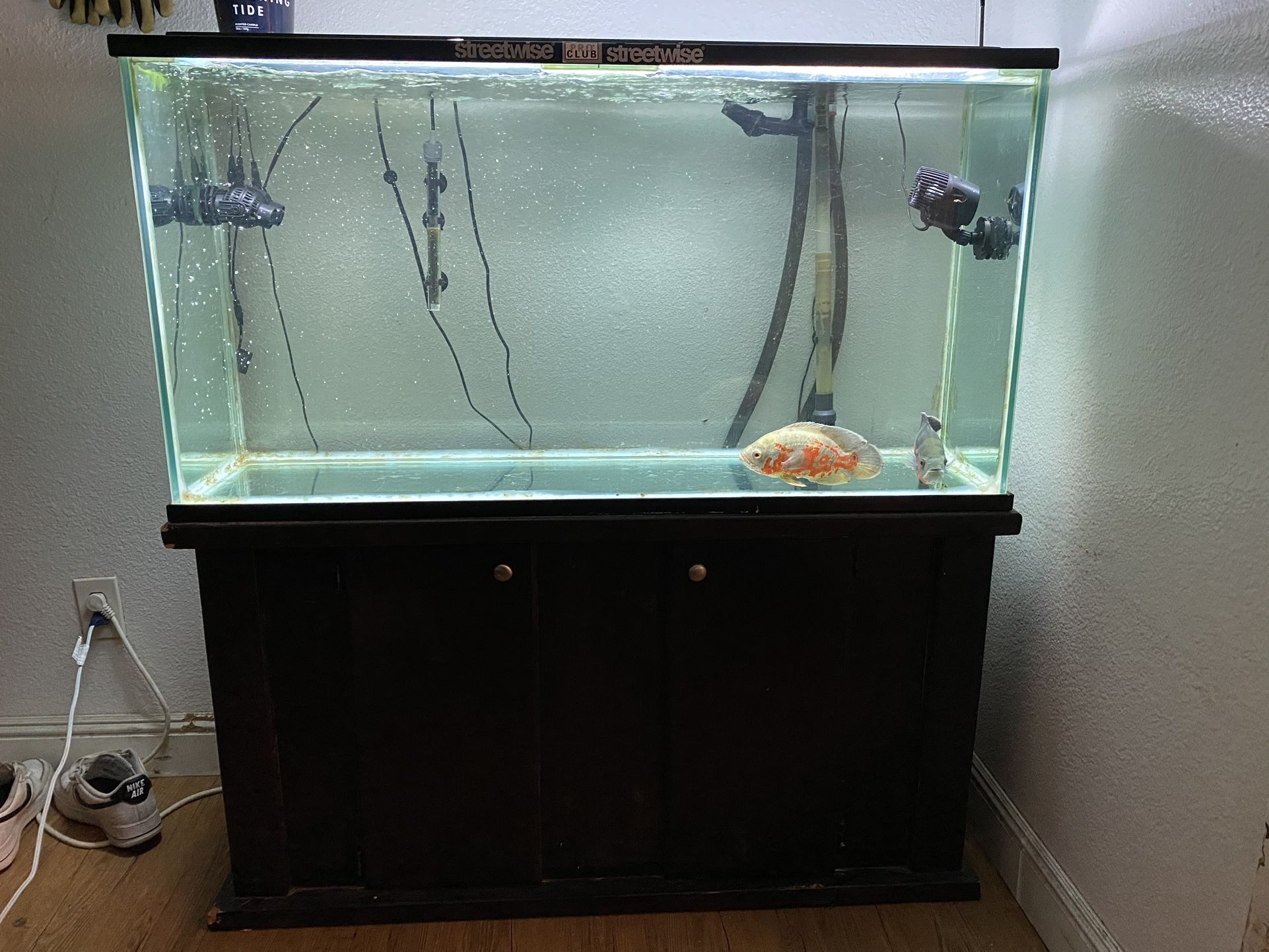 Fish Tank