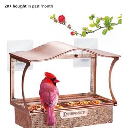 Window Bird Feeder