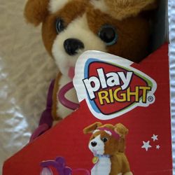 Playright Corgi Pet Puppy 