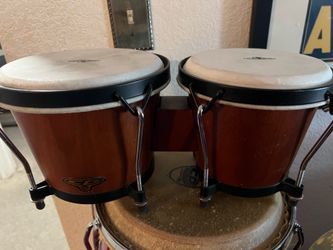 Bongo