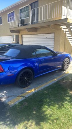 2000 Ford Mustang