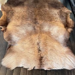 Elk Or Deer Fur Pelt
