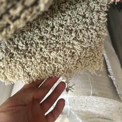 Carpet 
