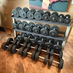 Professional Dumbbell Set with Rack