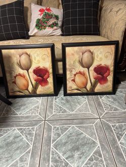 Beautiful set of 2  frames  20 inches.