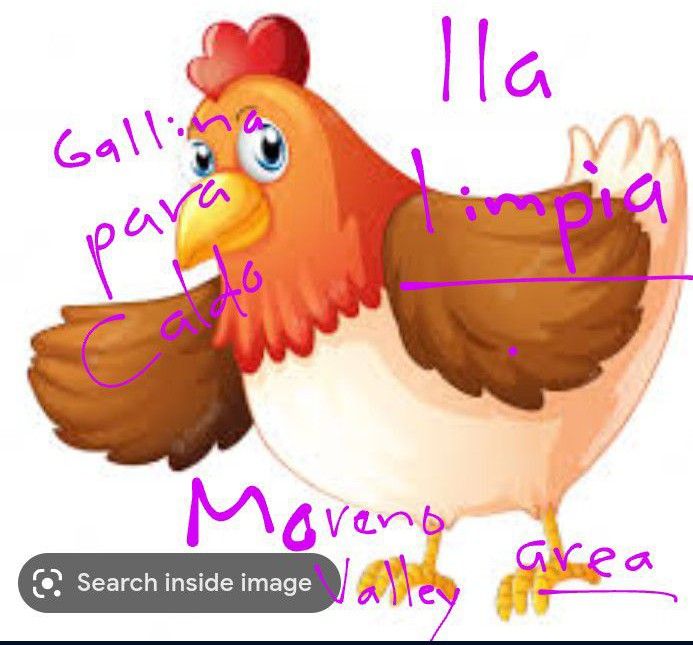 Gallina De Rancho