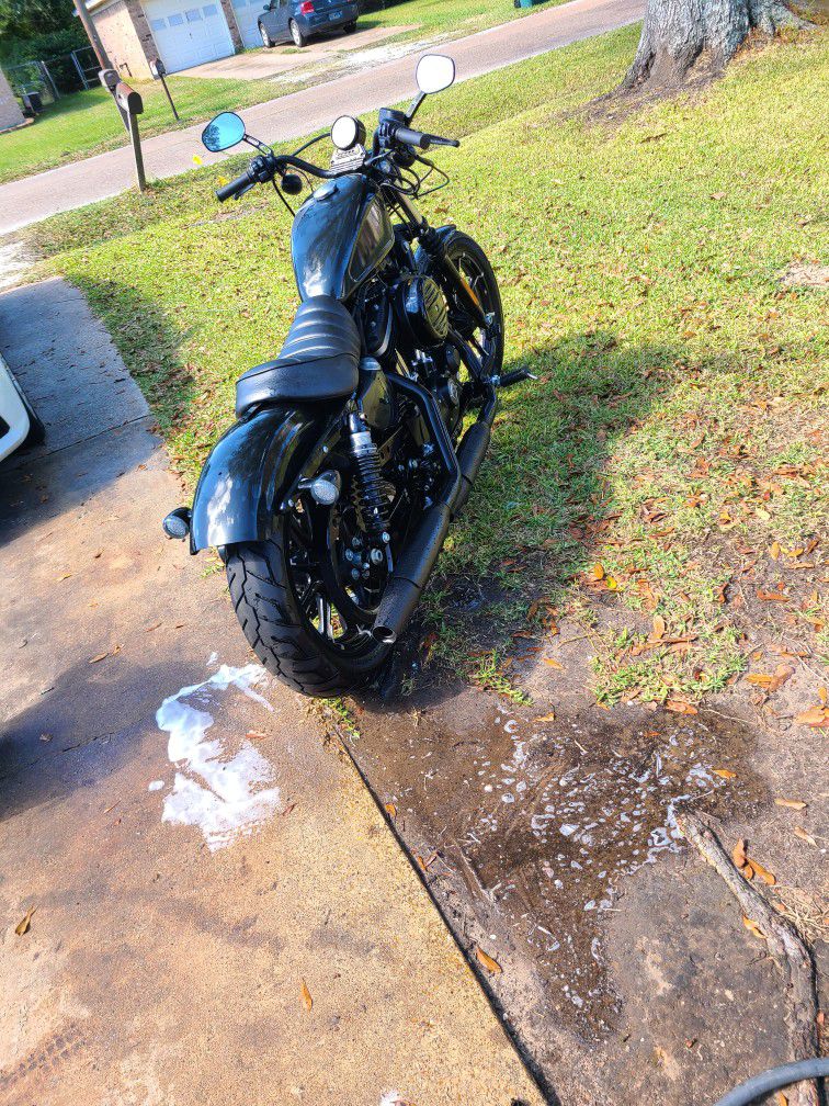 2019 Harley Davidson Iron 883