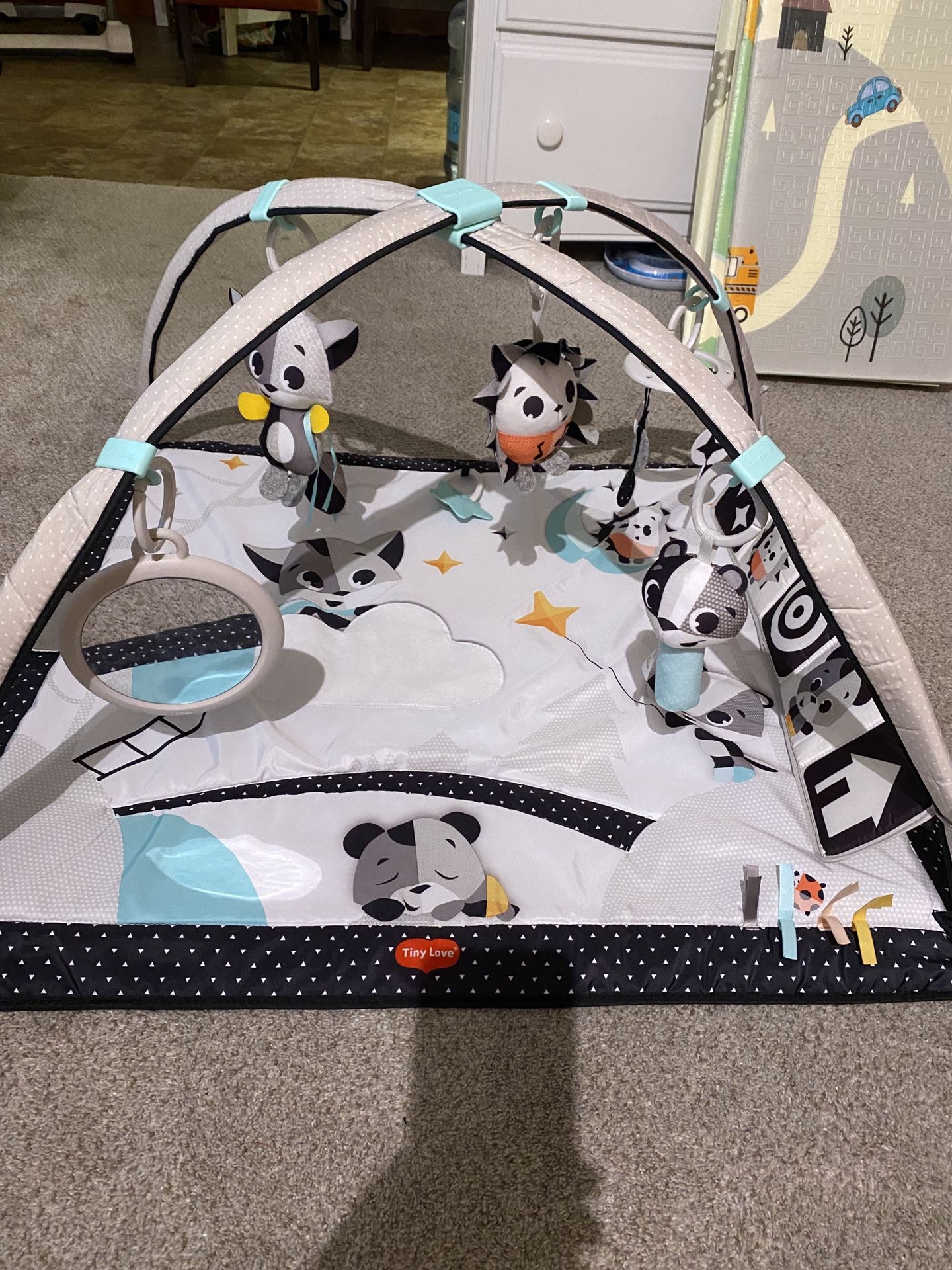 Baby Play Mat